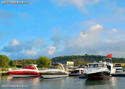 蘇州金庭復園 全景瞰湖美宅，致獻詩意棲居
